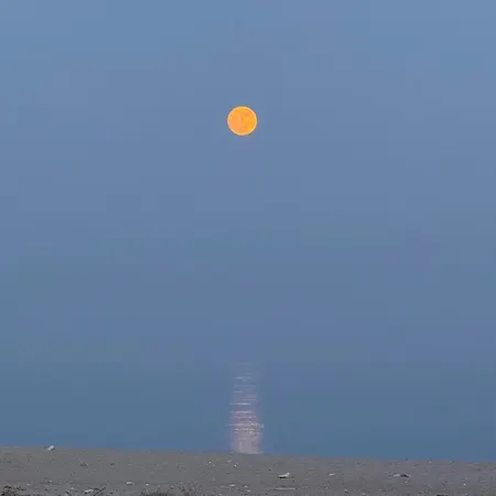 Apartment San Lorenzo *